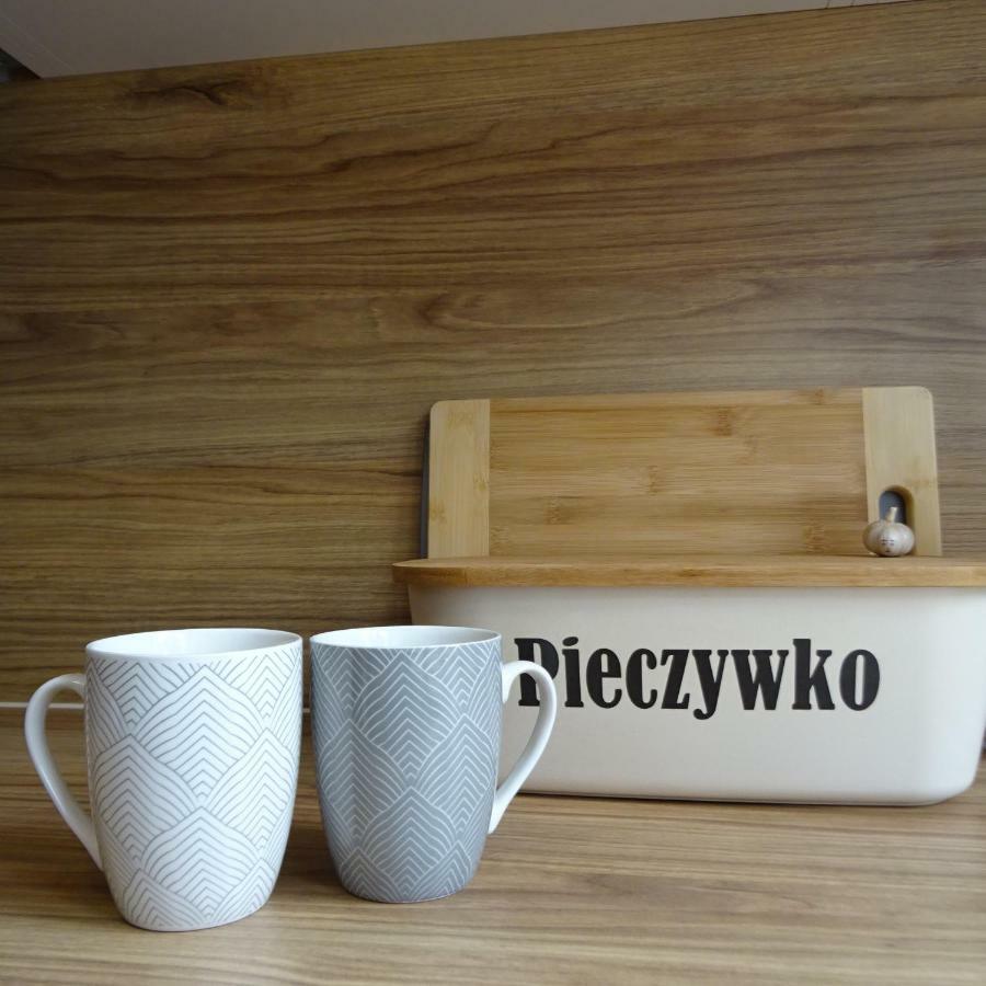 Mieszkanie 4-Pokojowe W Toruniu Przy Umk Exterior photo